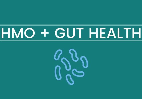 HMO and gut health 