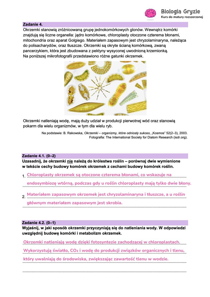 Fragment arkusza maturalnego z biologii - zadanie na udowodnienie dotyczące okrzemki.