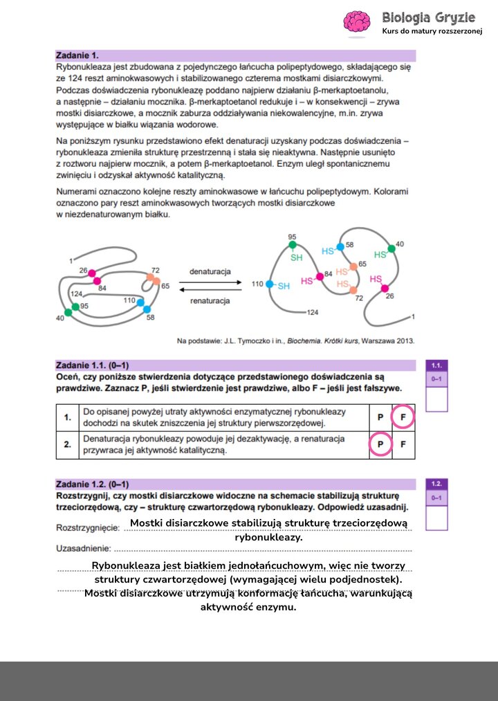 Zadanie maturalne z biologii ze schematem denaturacji i renaturacji rybonukleazy, do analizy struktury trzeciorzędowej białek.