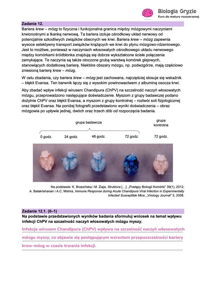  Fragment arkusza maturalnego z biologii - zadanie z tekstem dotyczącym krwi i infekcji.