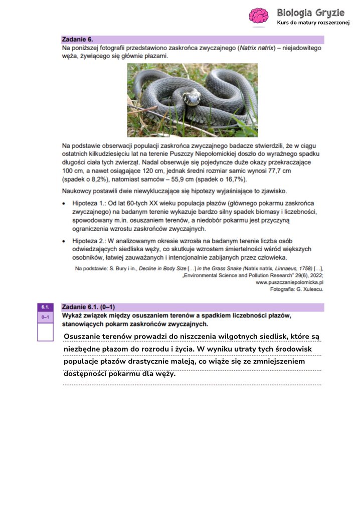 Zadanie maturalne z biologii ze zdjęciem zaskrońca zwyczajnego, do analizy wpływu zmian w środowisku na jego populację.