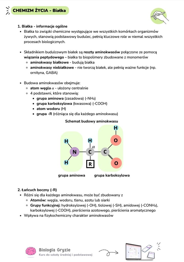 Schemat budowy aminokwasu z grupą aminową karboksylową węglem alfa i łańcuchem R budowa aminokwasu chemizm życia