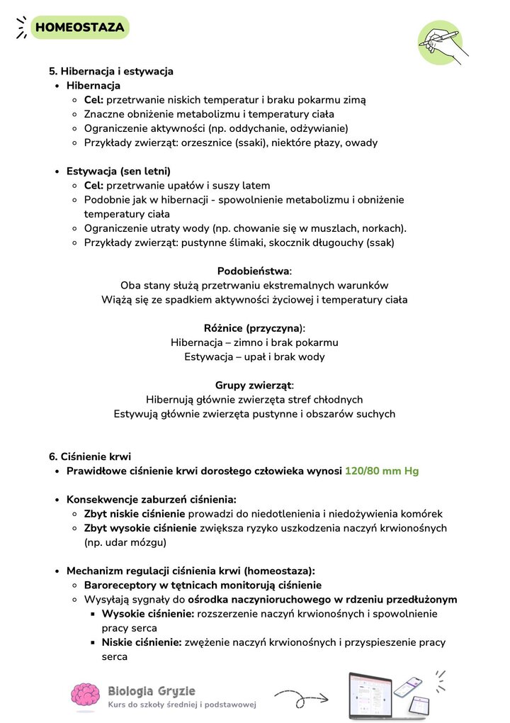 Porównanie hibernacji i estywacji oraz mechanizm regulacji ciśnienia krwi. Tekst wyjaśnia rolę baroreceptorów i ośrodka naczynioruchowego w rdzeniu przedłużonym .