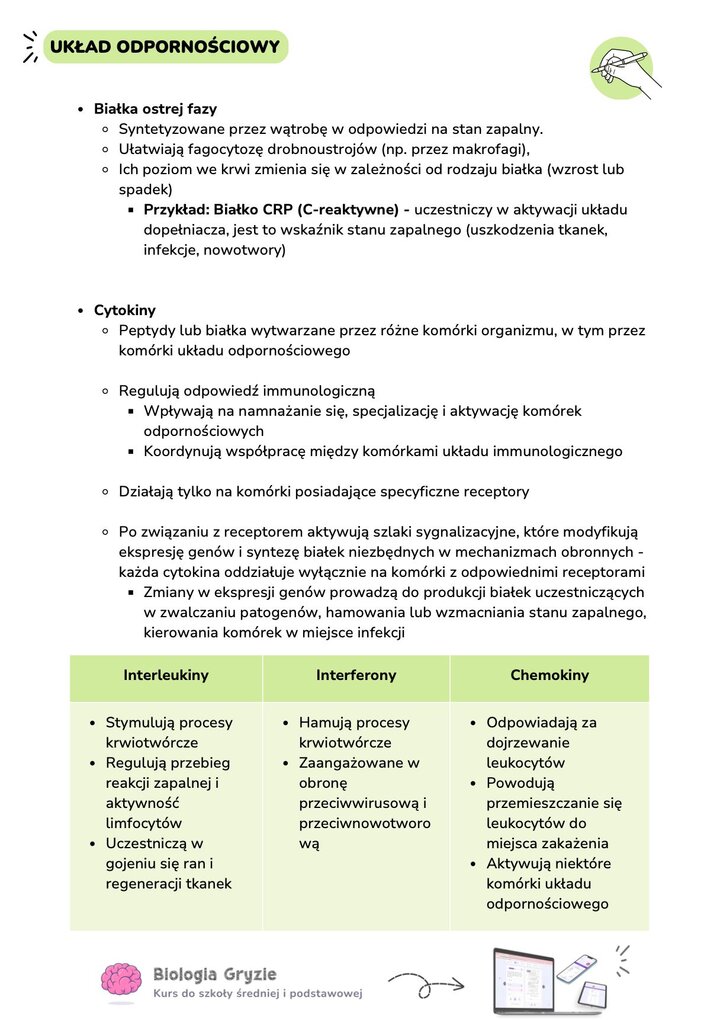 Materiały edukacyjne dotyczące układu odpornościowego. Tekst wyjaśnia funkcje białek ostrej fazy (np. CRP) oraz cytokin w regulacji odpowiedzi immunologicznej. W dolnej części znajduje się tabela porównująca działanie trzech grup cytokin: interleukin, interferonów i chemokin.