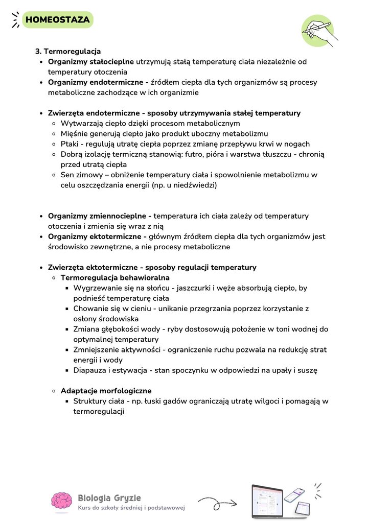 Opis termoregulacji z podziałem na organizmy stałocieplne (endotermiczne) i zmiennocieplne (ektotermiczne). Tekst wymienia adaptacje behawioralne i morfologiczne zwierząt .