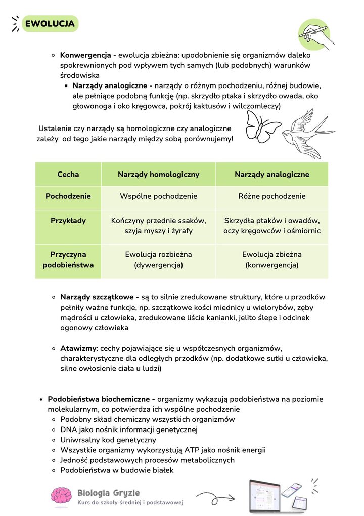 Porównanie skrzydeł motyla i ptaka jako narządów analogicznych oraz tabela różnic między homologią a analogią.