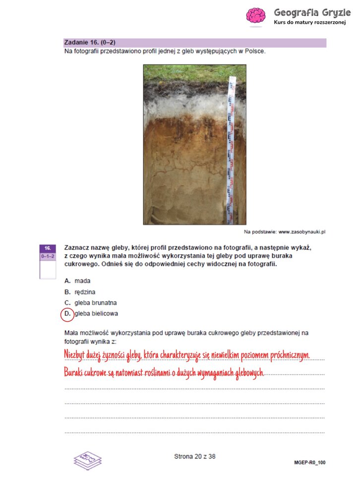 Zadanie maturalne z geografii ze zdjęciem profilu gleby bielicowej, dotyczące jej żyzności i przydatności rolniczej.