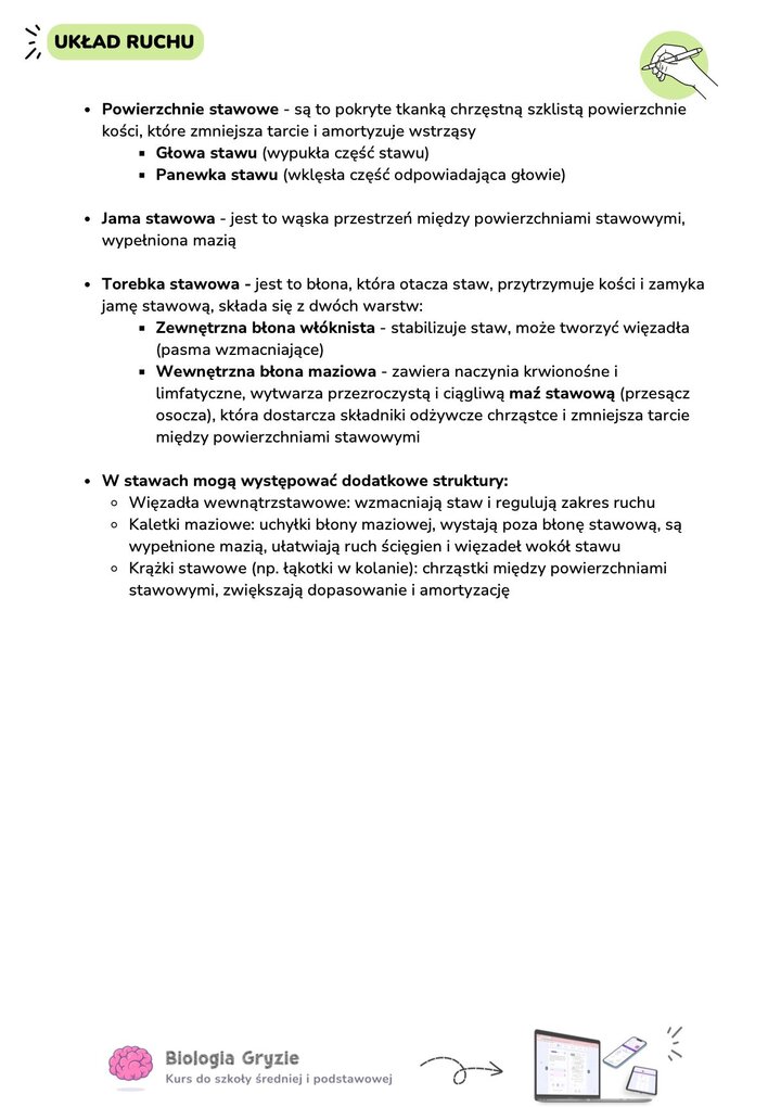Opis tekstowy elementów torebki stawowej i struktur dodatkowych, takich jak kaletki maziowe, krążki stawowe i więzadła wewnątrzstawowe.