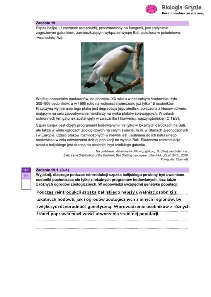 Zadanie maturalne z biologii ze zdjęciem szpaka balijskiego, dotyczące programów reintrodukcji i znaczenia różnorodności genetycznej.