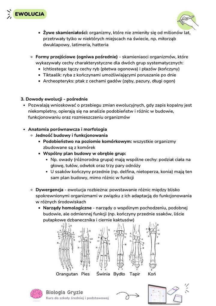 Porównanie budowy kończyn przednich ssaków (orangutan, pies, świnia, koń) jako przykład narządów homologicznych i dywergencji.