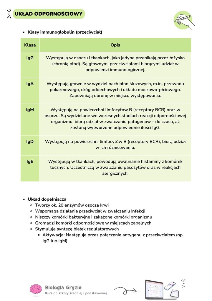 Materiały edukacyjne dotyczące układu odpornościowego. Grafika zawiera tabelę opisującą pięć klas immunoglobulin (IgG, IgA, IgM, IgD, IgE) wraz z ich funkcjami i miejscem występowania (np. IgG przenikają przez łożysko, IgE biorą udział w reakcjach alergicznych). Poniżej znajduje się sekcja dotycząca układu dopełniacza, wyjaśniająca w punktach jego rolę (m.in. niszczenie bakterii, wspomaganie przeciwciał) oraz sposób aktywacji.