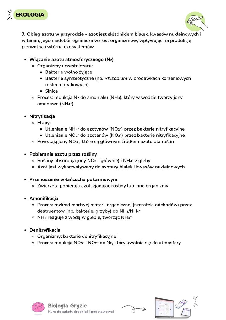Szczegółowy opis cyklu azotowego w przyrodzie. Procesy: wiązanie azotu, nitryfikacja, amonyfikacja i denitryfikacja z udziałem konkretnych grup bakterii.