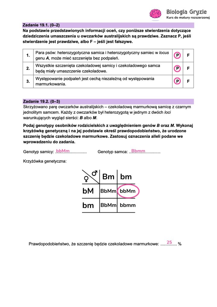 Fragment arkusza maturalnego z biologii - zadanie z krzyżówką genetyczną.