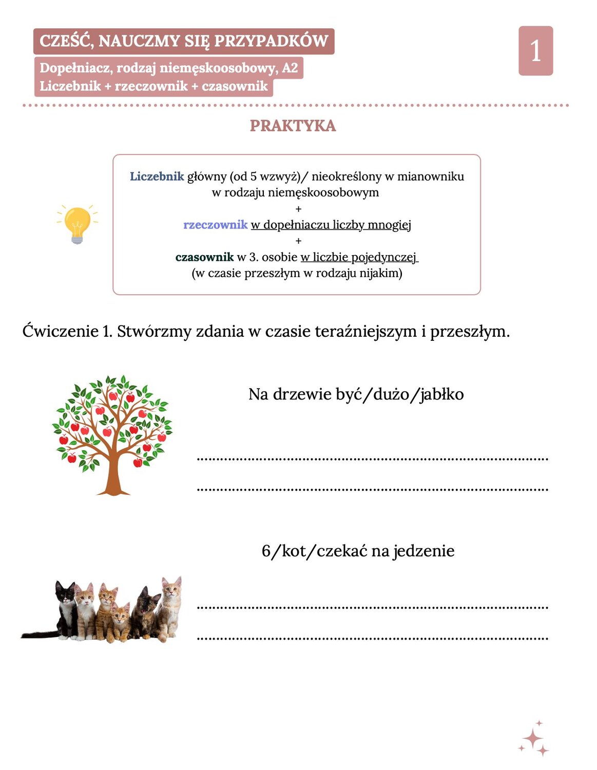 Karta edukacyjna z języka polskiego dla poziomu A2 pod tytułem 'Dopełniacz, rodzaj niemęskoosobowy, Liczebnik + rzeczownik + czasownik'. Zawiera schemat budowania zdań z liczebnikami od 5 wzwyż, które wymagają rzeczownika w dopełniaczu liczby mnogiej i czasownika w 3. osobie liczby pojedynczej. Na karcie znajduje się kolorowa ilustracja drzewa z czerwonymi jabłkami oraz zadania do ułożenia zdań o jabłkach i kotach.