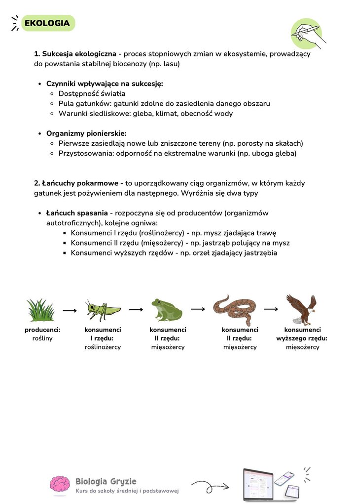 Notatka z biologii o sukcesji ekologicznej i łańcuchach spasania. Definicja sukcesji, rola organizmów pionierskich oraz poziomy troficzne: producenci, konsumenci I i II rzędu.