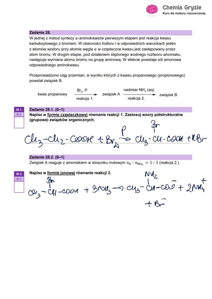 Zadanie maturalne z chemii (28) ze schematem i równaniami reakcji syntezy alfa-aminokwasu z kwasu karboksylowego.