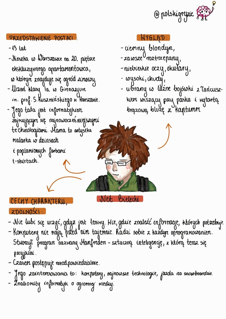 Ilustracja Neta Bieleckiego, informatyka z 'Felix, Net i Nika', w okularach, z roztrzepanymi, ciemnymi włosami i w brązowej bluzie, przedstawiająca jego charakterystykę jako leniwego, ale zdolnego hakera i twórcy sztucznej inteligencji Manfreda.