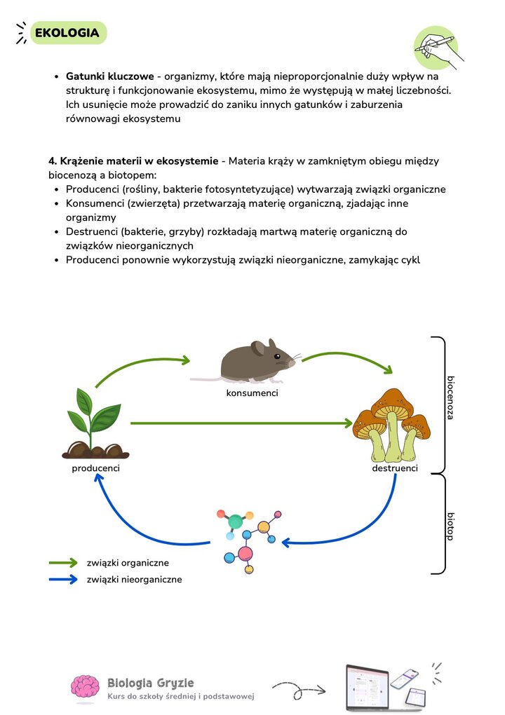 Schemat krążenia materii w ekosystemie między biocenozą a biotopem. Obieg zamknięty związków organicznych i nieorganicznych z udziałem producentów, konsumentów i destruentów.