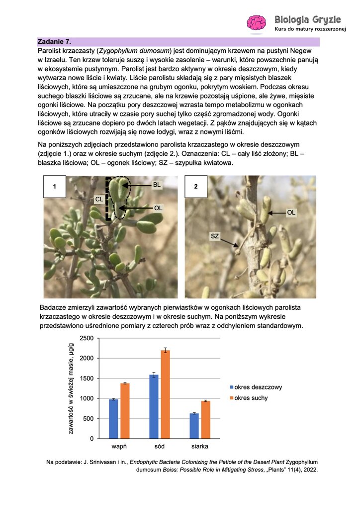 Fragment arkusza maturalnego z biologii - zdanie tekstowe dotyczące parolist krzaczastego.