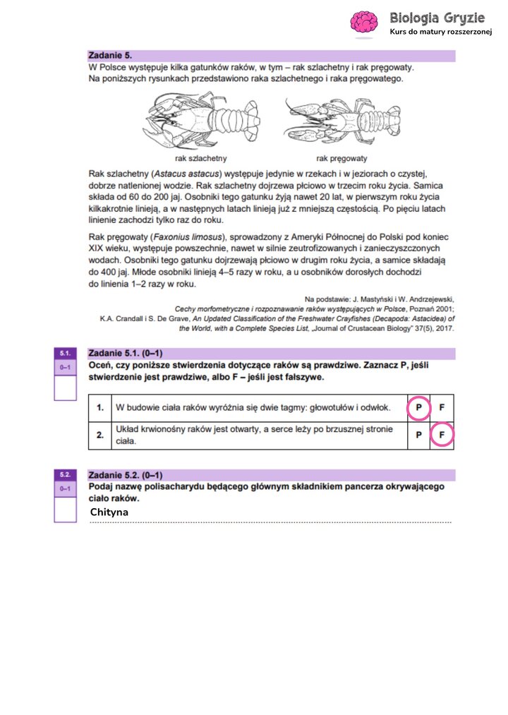 Zadanie maturalne z biologii z rysunkami porównującymi raka szlachetnego i pręgowatego, z pytaniami o ich budowę i biologię.