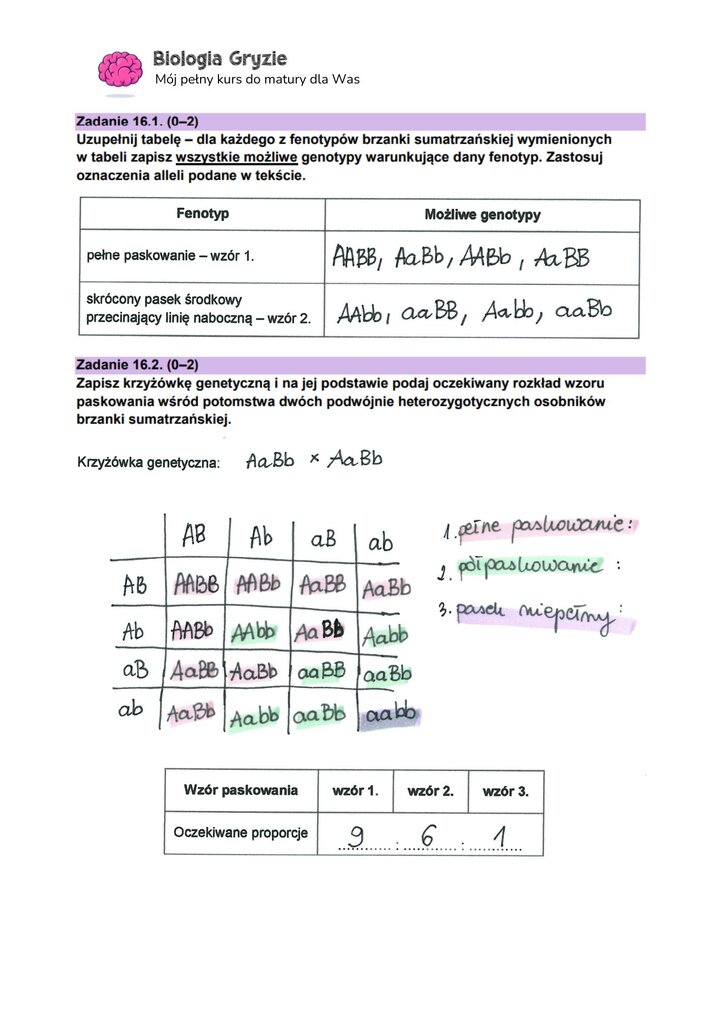 zadanie 16.1 16.2 matura CKE biologia