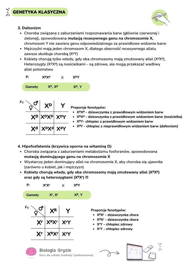 Notatki o daltonizmie i hipofosfatemii wraz z rozpisem genotypów i krzyżówką genetyczną dla krzywicy opornej na witaminę D, pokazującą chorych synów i córki.