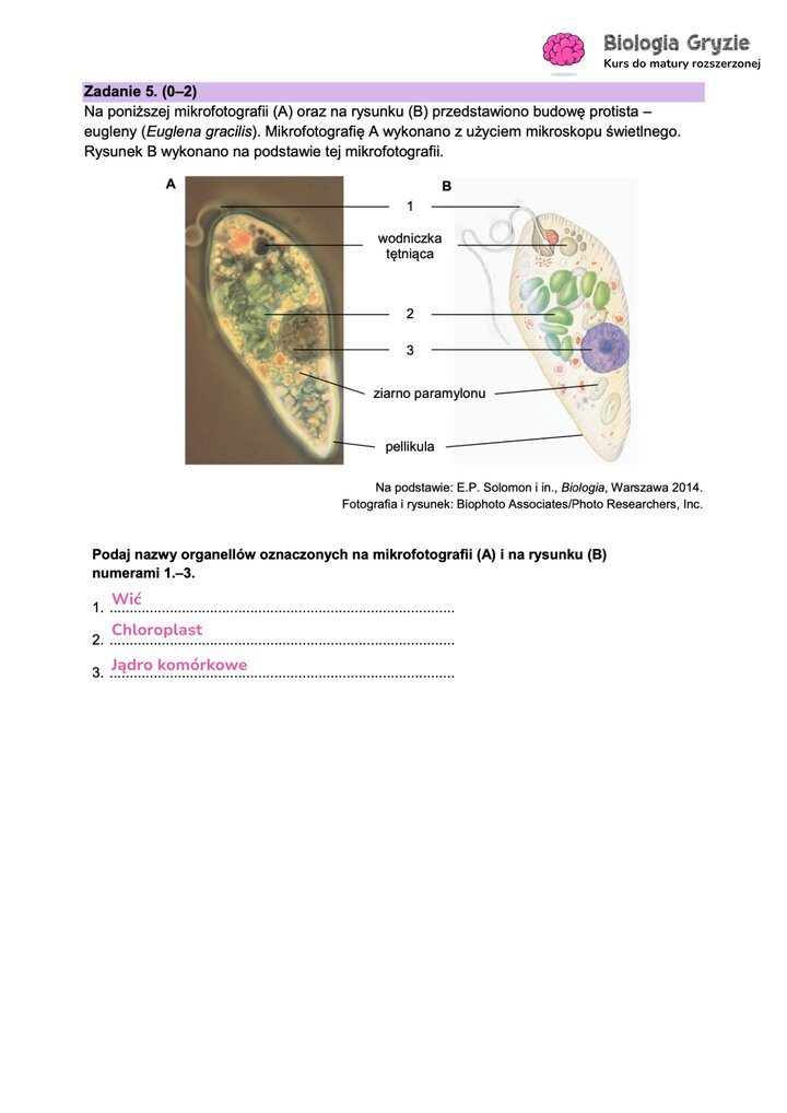 Fragment arkusza maturalnego z biologii - zadanie z budową protista.