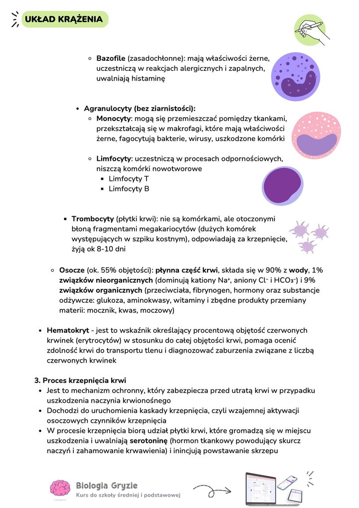 Dalsza klasyfikacja białych krwinek (bazofile, monocyty, limfocyty) oraz rola płytek krwi i osocza. Definiuje również hematokryt jako wskaźnik objętości erytrocytów w stosunku do całej krwi.