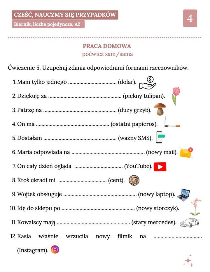 Arkusz pracy domowej z języka polskiego (poziom A2) dotyczący biernika liczby pojedynczej. Zawiera 12 zdań do uzupełnienia z takimi słowami jak: dolar, tulipan, YouTube, laptop czy Instagram. Ćwiczenia skupiają się na praktycznym zastosowaniu gramatyki w codziennym słownictwie.