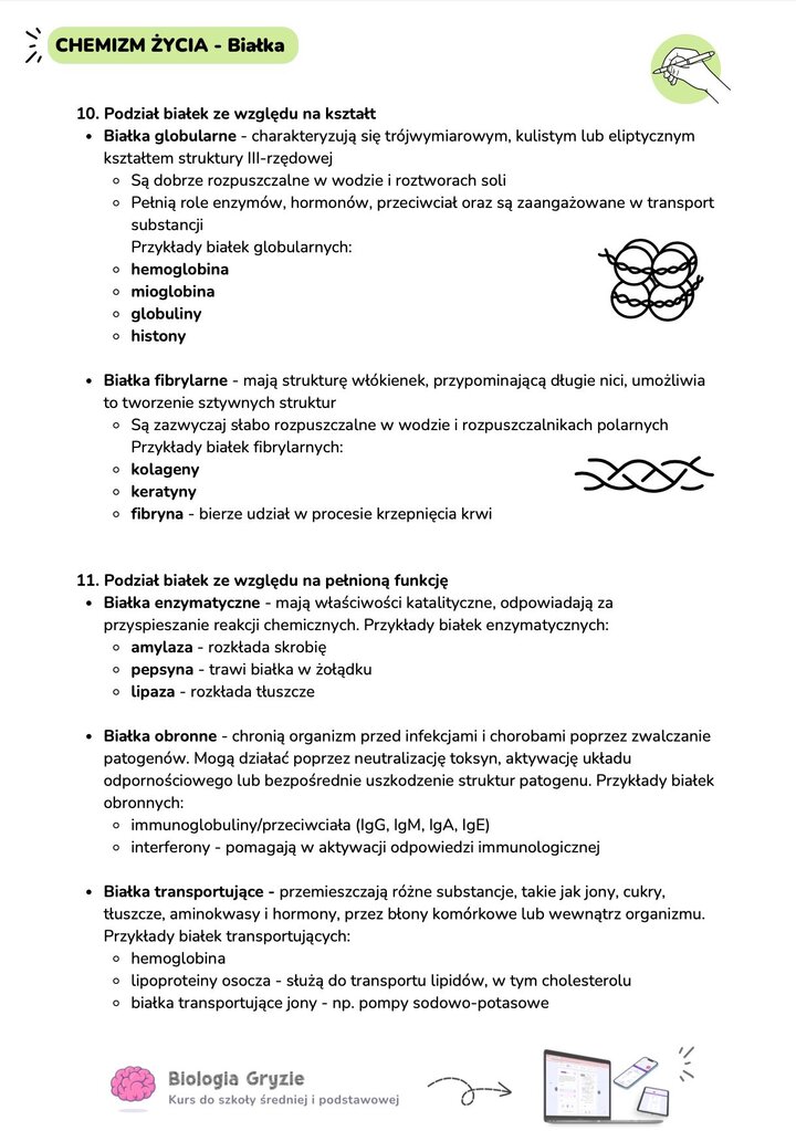 Opis podziału białek na globularne i fibrylarne ze względu na kształt oraz na enzymatyczne, obronne i transportowe ze względu na pełnioną funkcję.