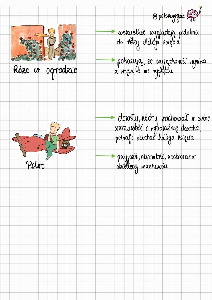 Strona z ilustracjami Małego Księcia w ogrodzie pełnym róż (zrozumienie, że wyjątkowość wynika z więzi) oraz Małego Księcia siedzącego na czerwonym samolocie obok Pilota (dziecięca wrażliwość i wyobraźnia).