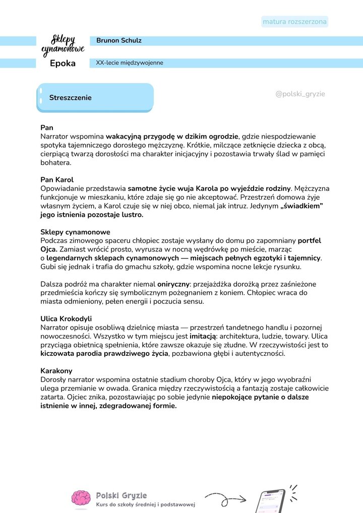 Arkusz z notatkami dotyczącymi streszczenia opowiadań: „Pan”, „Pan Karol”, „Sklepy cynamonowe”, „Ulica Krokodyli” oraz „Karakony”.