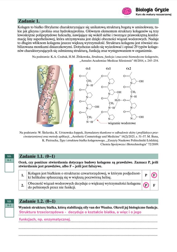 Schemat struktury kolagenu: prawoskrętna superhelisa złożona z trzech lewoskrętnych łańcuchów ( α1, α2), stabilizowana wiązaniami wodorowymi.
