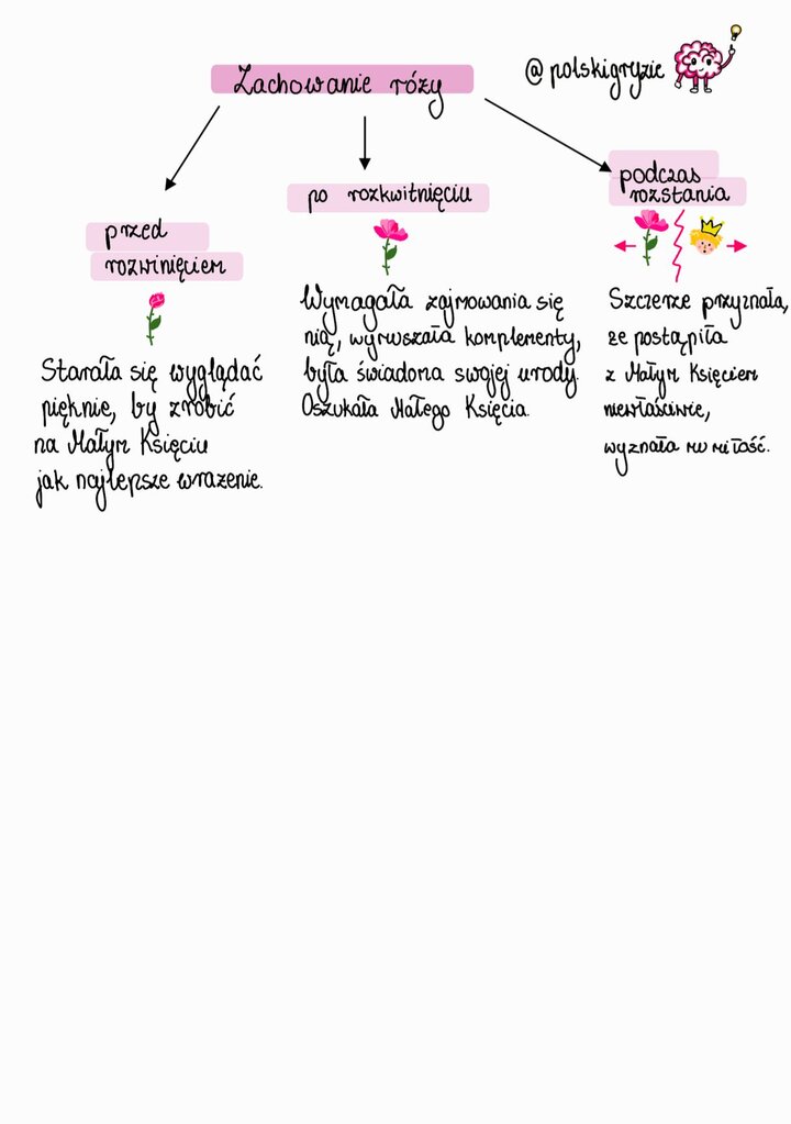 Schematyczny rysunek procesu myślowego lub ilustracja symbolizująca rozwój i przemianę w relacji Małego Księcia z Różą. Grafika zawiera kluczowe etapy: przed rozwinięciem, po rozkwitnięciu i podczas rozstania, opisujące zachowanie Róży wobec Małego Księcia.