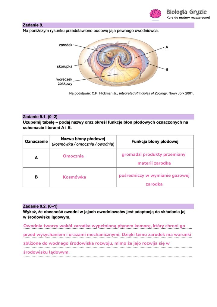 Fragment arkusza maturalnego z biologii - zadanie z rysunkiem przedstawiającym budowę jaja pewnego owodniowca.
