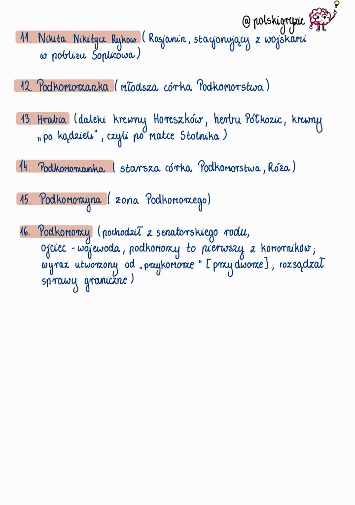 Obrazek mózgu z żarówką, podsumowujący role Hrabiego, Podkomorzego i Podkomorzanek w 'Panu Tadeuszu', z kontekstem senatorskiego rodu Podkomorzego i jego roli w rozsądzaniu spraw granicznych.