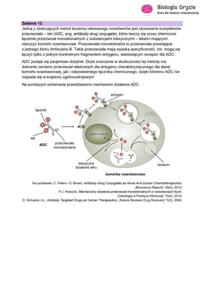 Zadanie maturalne z biologii ze schematem działania leku koniugowanego (ADC) w terapii celowanej nowotworów.