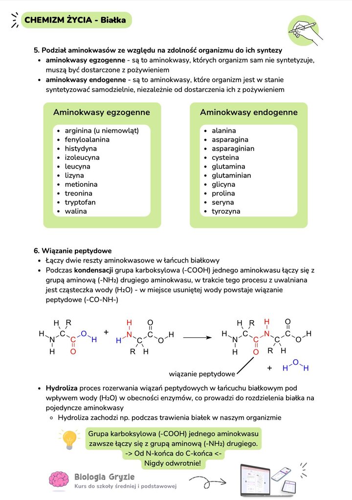Podział aminokwasów na egzogenne i endogenne oraz schemat reakcji kondensacji tworzącej wiązanie peptydowe z wydzieleniem cząsteczki wody.
