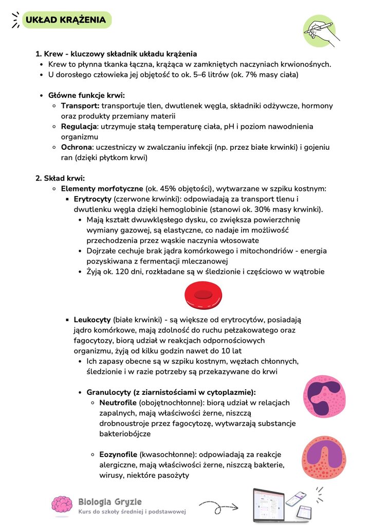 Szczegółowa charakterystyka krwi i jej elementów morfotycznych. Tekst opisuje funkcje erytrocytów (kształt, brak jądra, transport tlenu) oraz wstępną klasyfikację leukocytów (neutrofile, eozynofile).