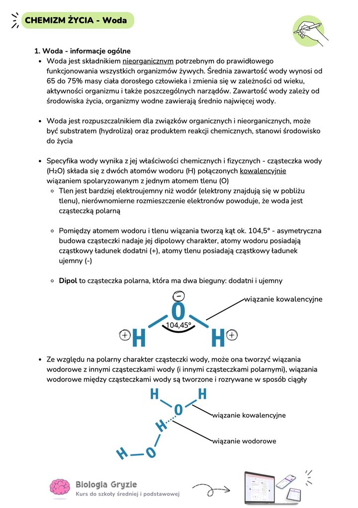 Budowa cząsteczki wody H2O kowalencyjne wiązanie wodorowe polarny charakter dipol kąt 104 45 stopni chemia życia