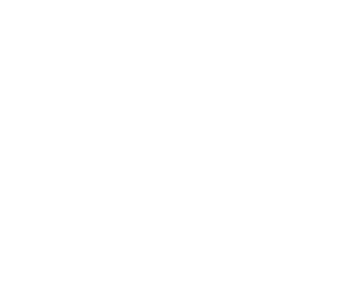 Bluechip SMSF Logo Mobile