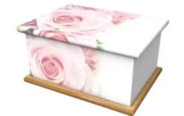 Ashes casket with blushing rose imagery