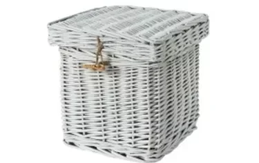 Willow White Ashes Casket