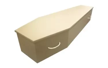 Cardboard coffin, with rope handles