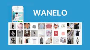 Wanelo:  Redefining the Personalized Online Social Shopping Experience;      The Next Big Thing on the Net