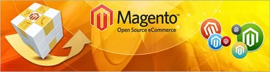 Magento Ecommerce Software - The #1 Choice