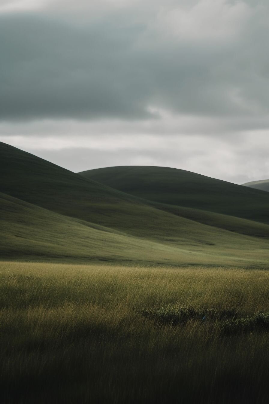 Natures Embrace