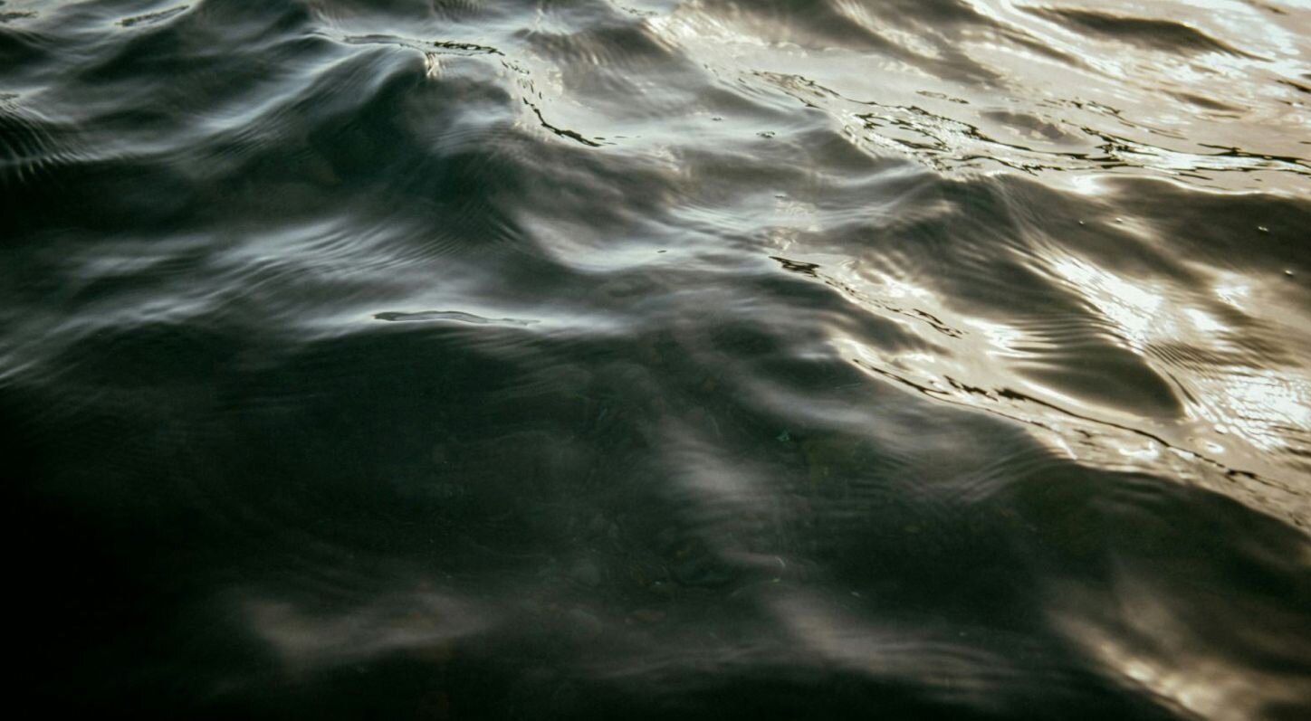 How Vibrations Shape Life, Heal, and Inspire