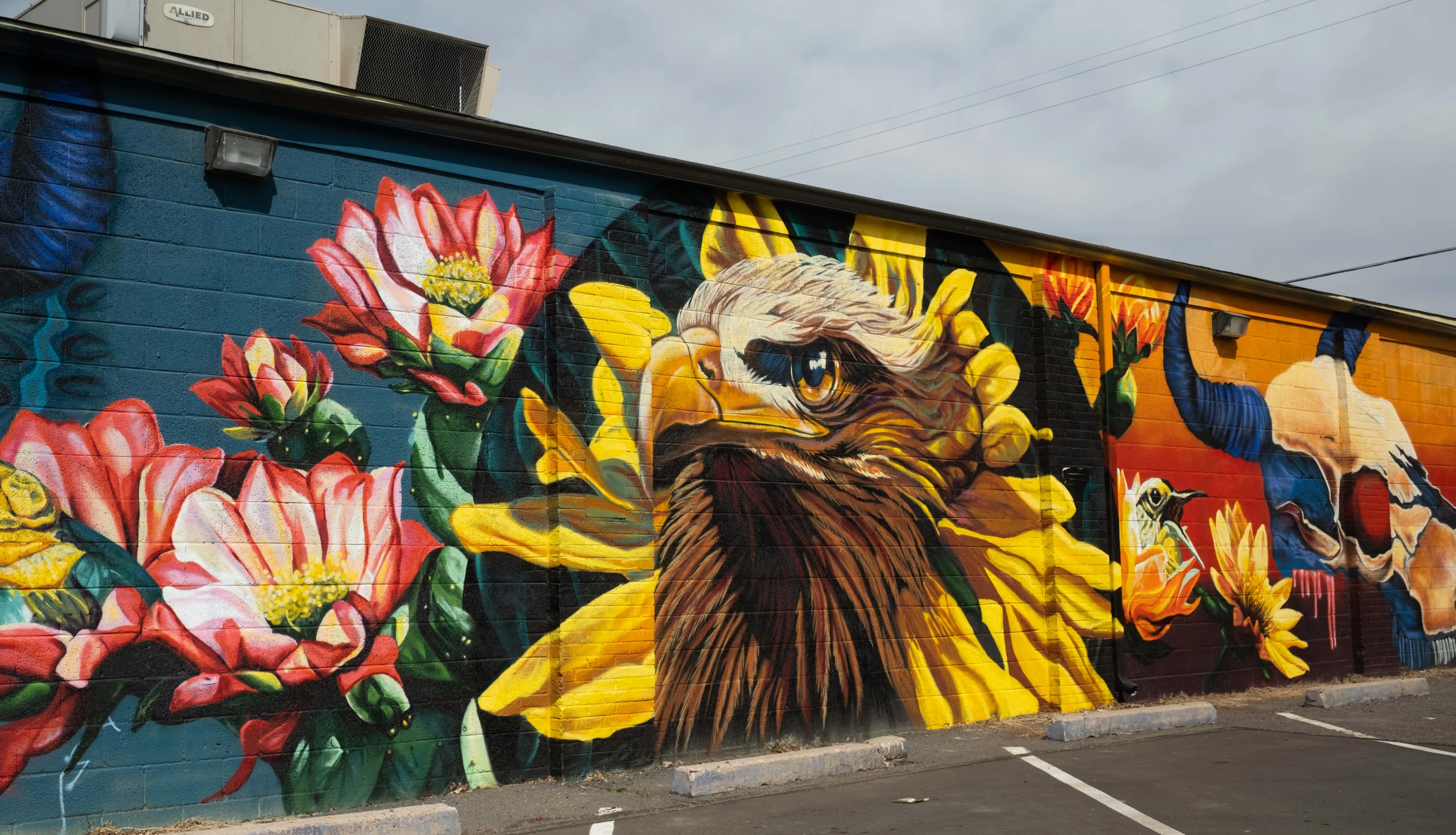 Northwest Aurora is home to the Arts and Cultural District. Many murals are seen throughout the neighborhood. Photo: Peter Vo, Rocky Mountain PBS
