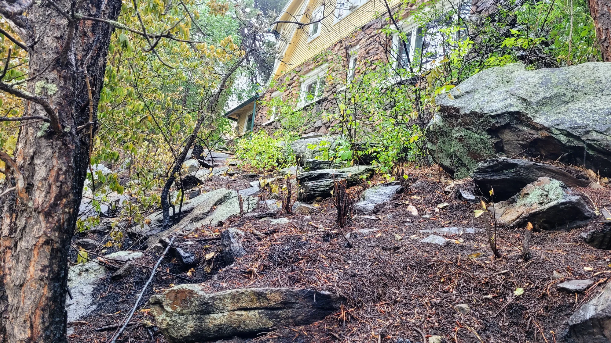 Charred debris left behind by the Alexander Mountain Fire at the house of Jerry Godbey and Donna Williams. Firefighters protecting the house cleared vegetation to create a firebreak. Photo: Rae Solomon, KUNC